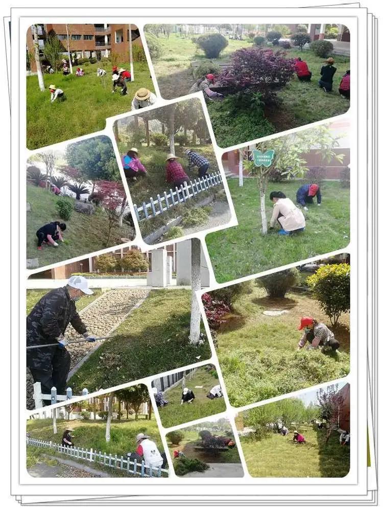 @亲爱的浠水思源学子：疫散花开，等你回来！