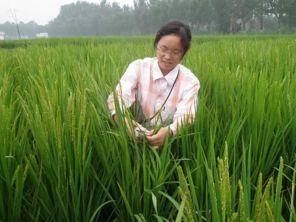 农大毕业怎么找工作,农大毕业现状