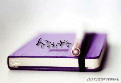 韩文怎么输入出来,电脑上的韩文怎么打出来