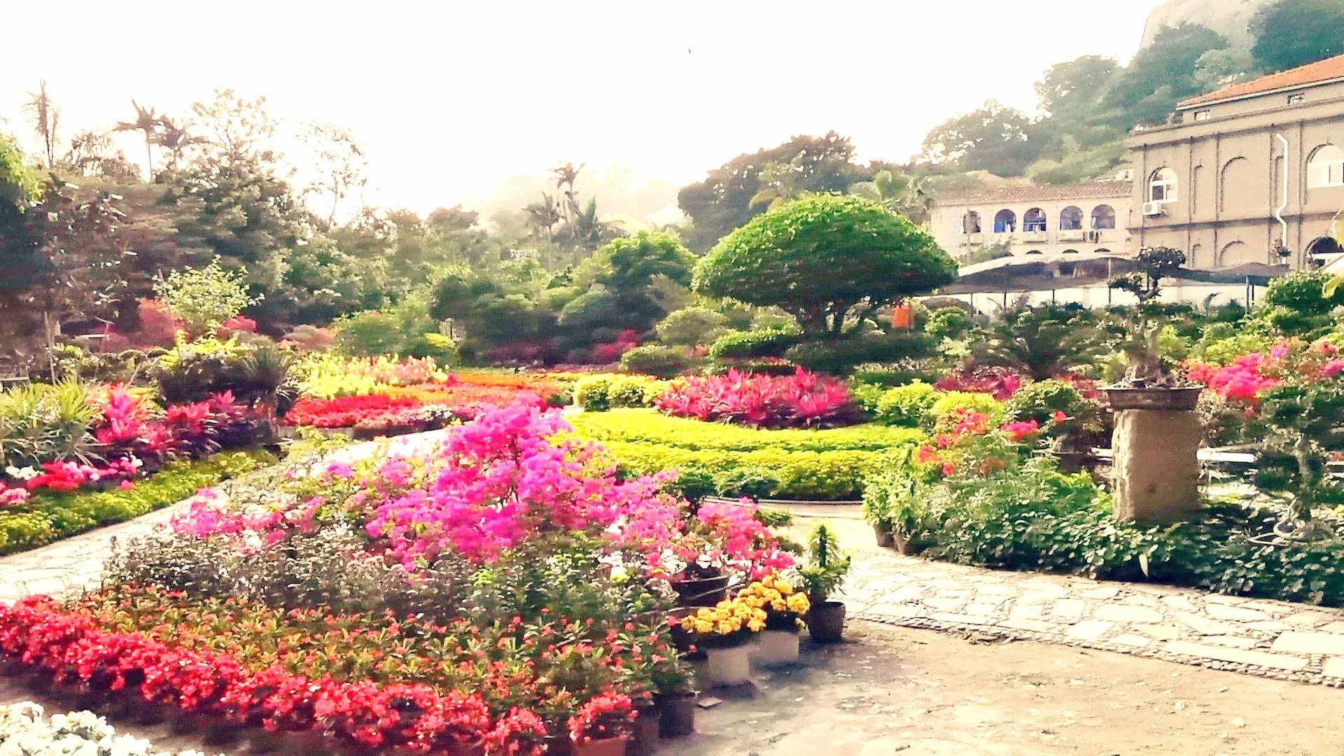 濮戝珎鏃呰璁板綍,濮戝珎鏃呰鏃ヨ