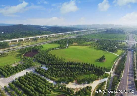 南京面积最大的公园，美不胜收却被游客忽略