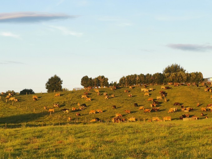 让你不用出门欣赏到美丽的风景,让你不出门你会待几天