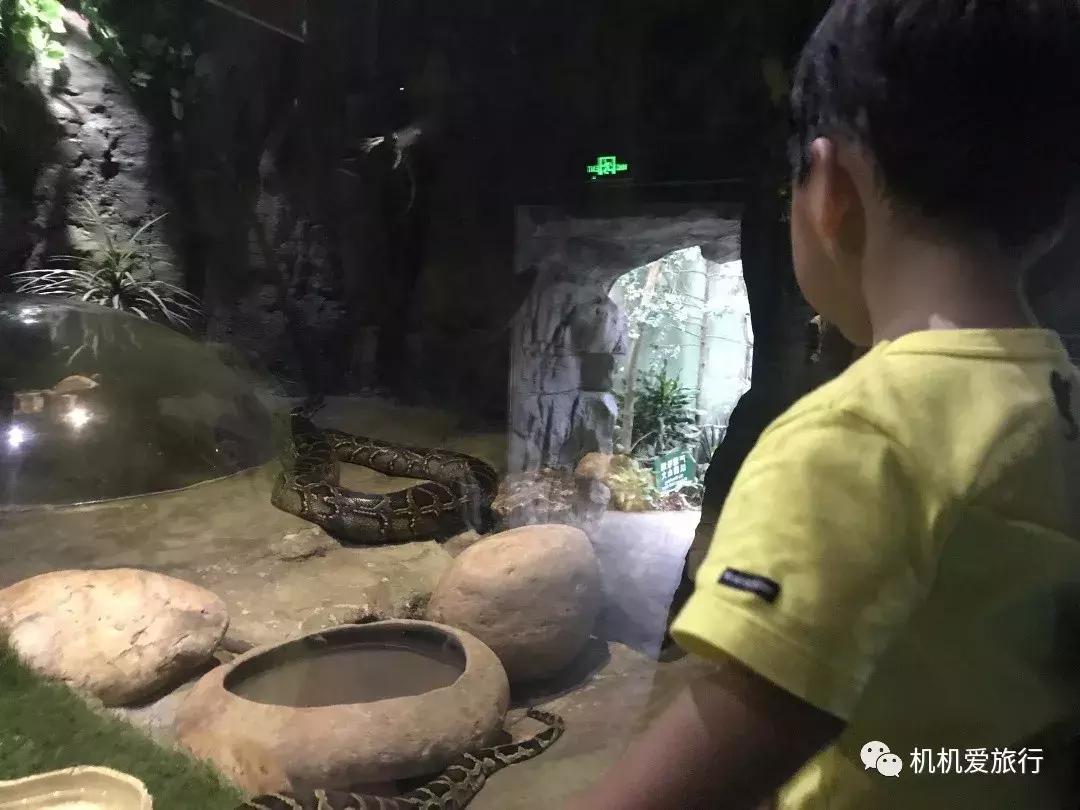 珠海长隆和广州长隆旅行攻略,珠海长隆和广州长隆旅游攻略区别