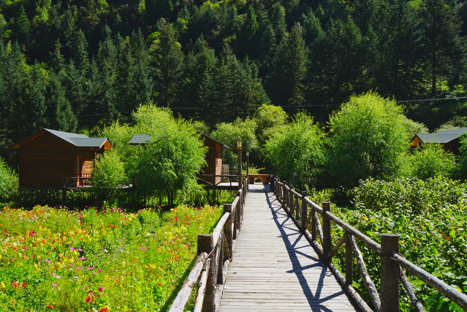 川西五日游马尔康,从成都到马尔康沿途风景