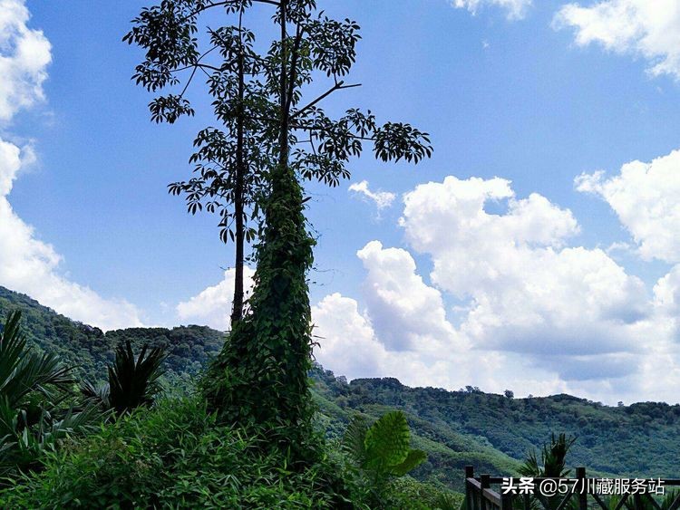 海南环岛骑行东线,海南西线环岛高速全程