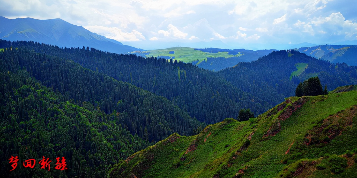 梦回新疆梦回拉萨,梦回伊宁草原视频