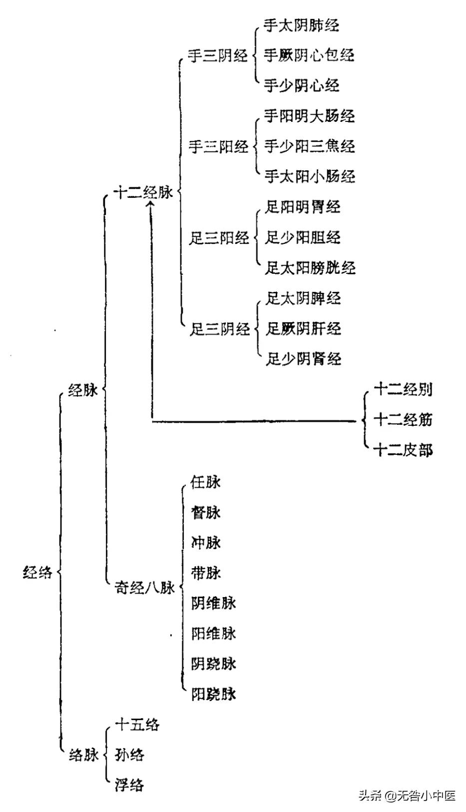 倪师针灸督脉视频,针灸推拿学的基本认知