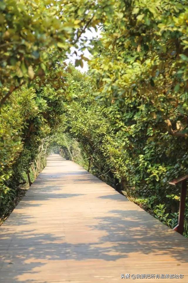 五一不知道去哪玩推荐去迪士尼,五一去哪里玩珠海游乐园少人