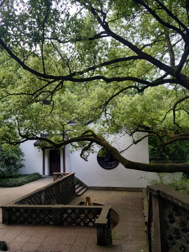 杭州西湖茶山游玩攻略,杭州西湖边游玩