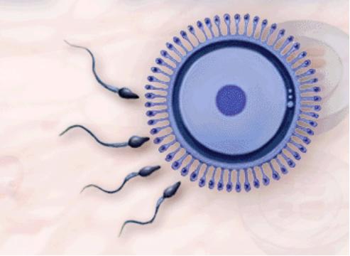 生育计划与生殖健康