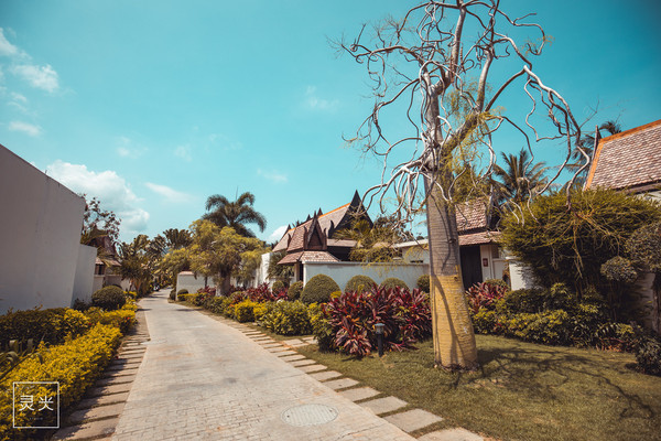 坐轮船多少钱三亚,去三亚坐轮渡7座车多少钱