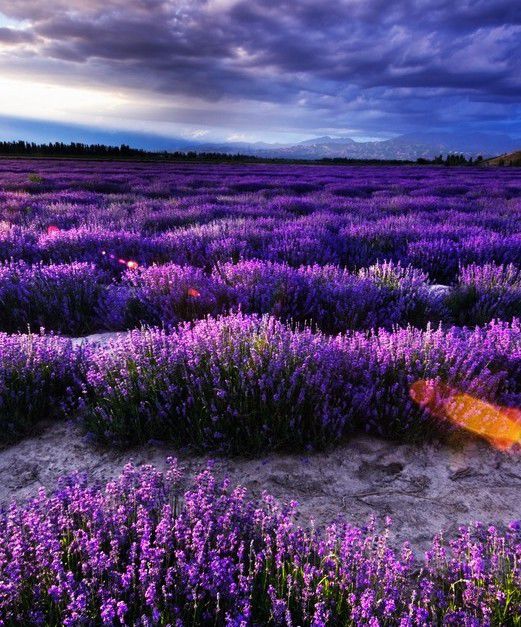 天无边，地无圆，来*疆新**旅游，这些事必须知道