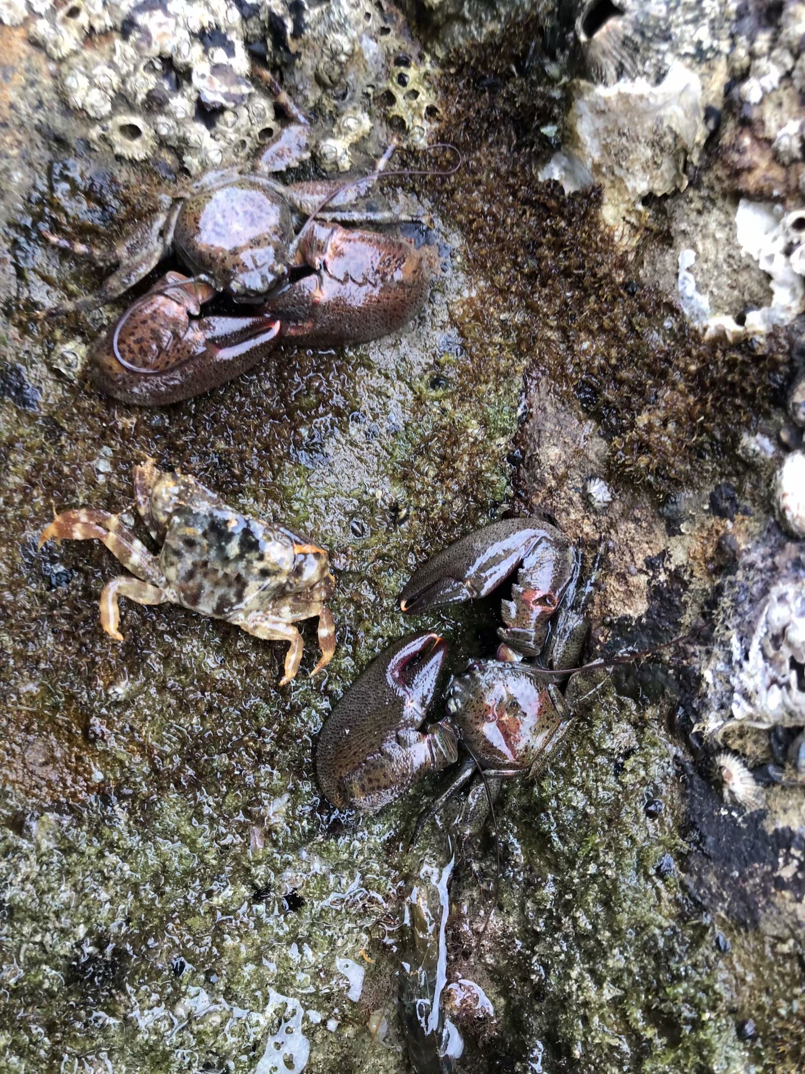 成都夫妻7天花5000玩遍涠洲岛（最后有防踩坑攻略）