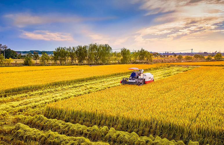 华夏乎！运城兮｜一位资深旅游人心中的运城！