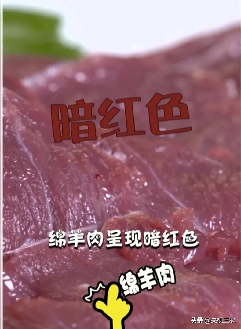 怎么辨别羊肉是山羊肉还是绵羊肉,羊肉是山羊肉好吃还是绵羊肉好吃