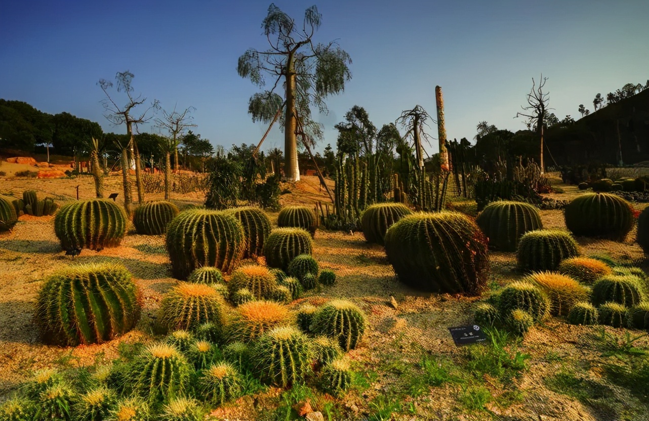 东莞厚街镇人口排名,东莞32镇人口排名