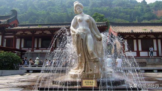 杨玉环牡丹,杨玉环和洛阳牡丹