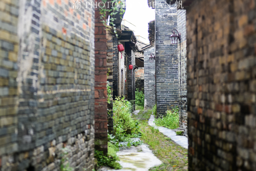 广东程姓村庄,程村程氏家族祖先