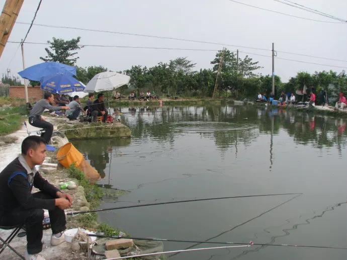 农村小伙投资100万养鱼,湖北返乡小伙养鱼创业