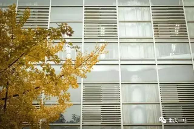 为什么强烈推荐你把孩子送进重庆一中这样的学校？