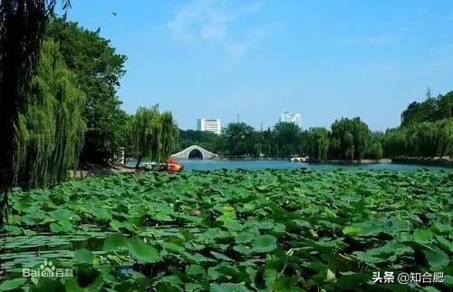 合肥淮河路步行街网红打卡地,安徽合肥10大经典网红打卡点出炉