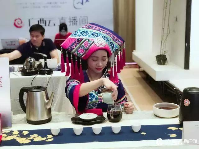 三鹤杯2024年梧州六堡茶斗茶大赛,2022年梧州六堡茶民间斗茶大赛