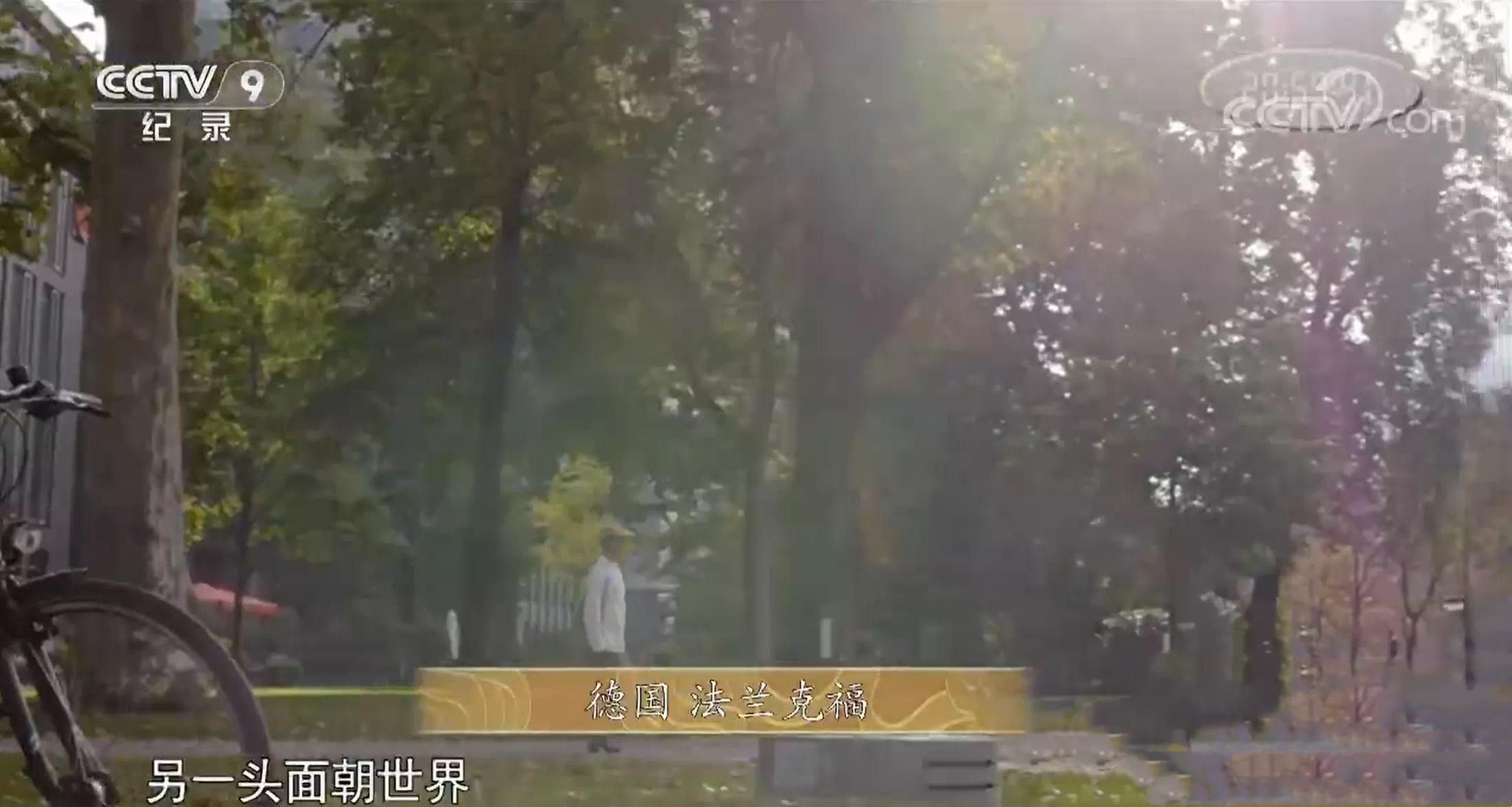 九段烧·段镇民未完成的“野心”