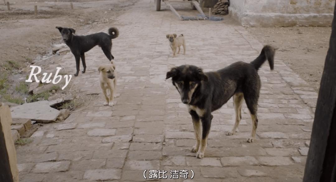 奥斯卡最佳短片记录印度女人争取卫生巾自由，卫生巾是怎么做成的