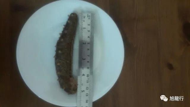 秋风起秋膘贴,秋风起贴秋膘喝羊汤