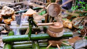 近日李子柒视频走红,李子柒爷爷最火视频