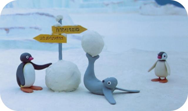 世界上最有诚信的企鹅,世界上最小的企鹅品种