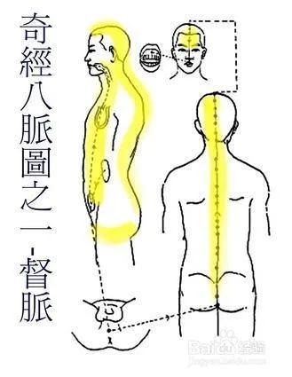 三一二经络锻炼法穴位,三一二经络锻炼法是指