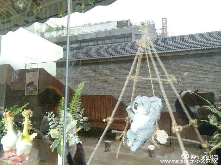 重庆网红景点城市之眼,重庆网红之城有多火