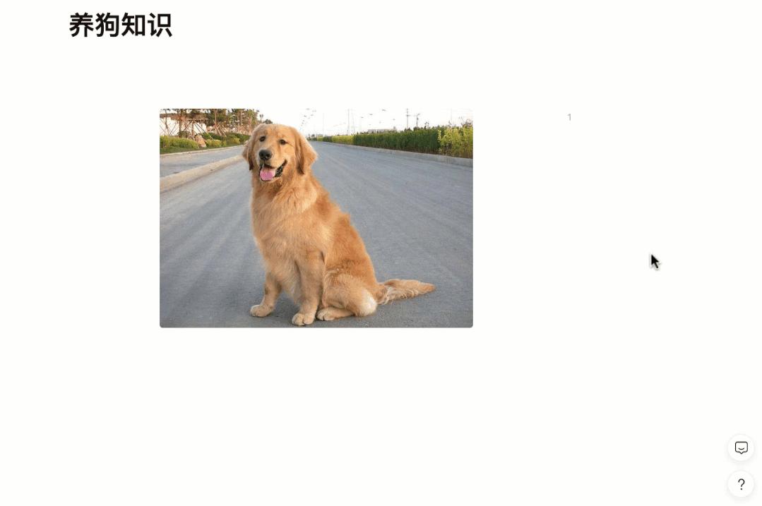 notion笔记软件是免费的吗,notion跟其他笔记软件一样吗