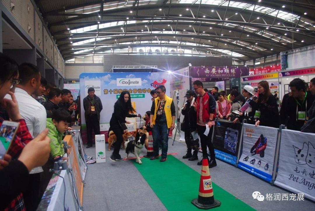 西北宠物行业的剁手盛宴来喽