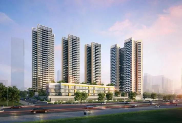 湾TALK早八点：11.24·你的湾区早班车