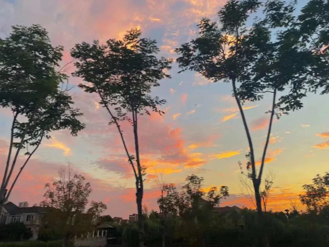 安徽省合肥师范学院2024招生简章,安徽省合肥师范学院今年投档线