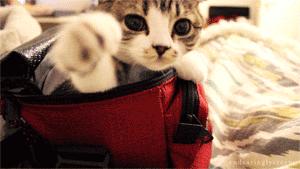 英语口语我听不懂怎么说,英语口语我觉得你说的不对