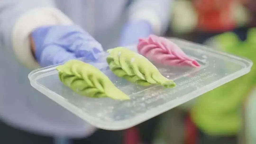 圣菲小学可以直升吗,10个理由告诉你为什么要留学