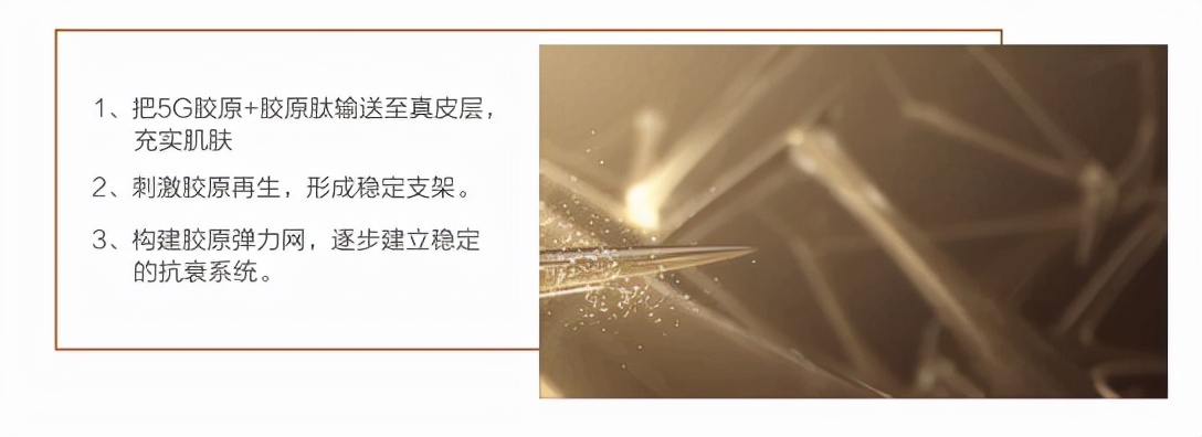 柏氏胶原蛋白使用顺序,柏氏胶原蛋白抗皱原液