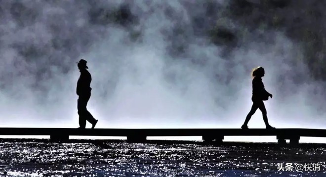 躲过三聚氰胺的两个奶粉品牌:飞鹤是怎么甩开贝因美100亿的距离