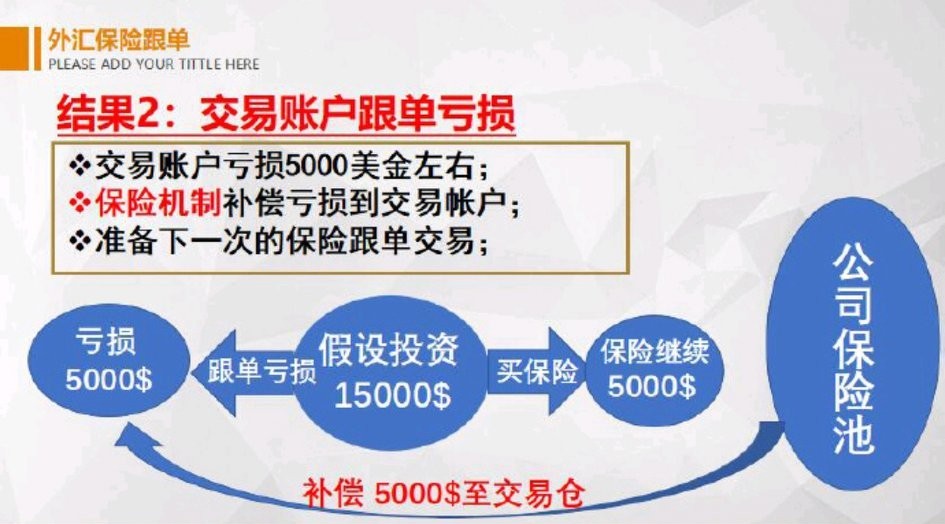 海汇国际保险跟单靠谱吗,海汇国际外汇模式