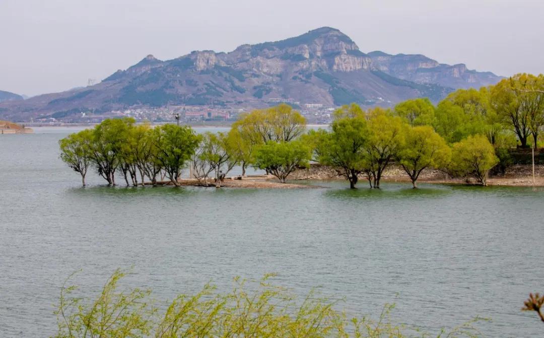 济南黄河入海口自驾游最佳路线图,春节济南出发自驾游最佳线路推荐