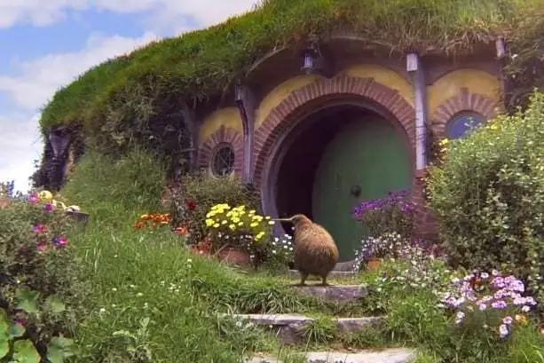 打气、示爱、放飞!最“抓眼球”的航司广告韵味十足