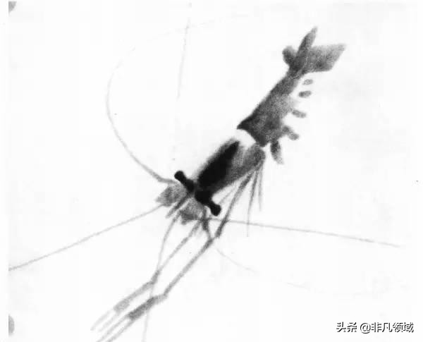 齐白石画虾时的动作语言神态,中国近代四大画家齐白石画虾