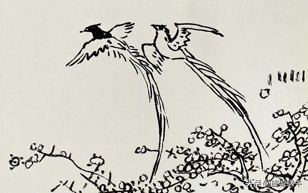 国画飞着绶带鸟的画法步骤,国画绶带鸟的画法