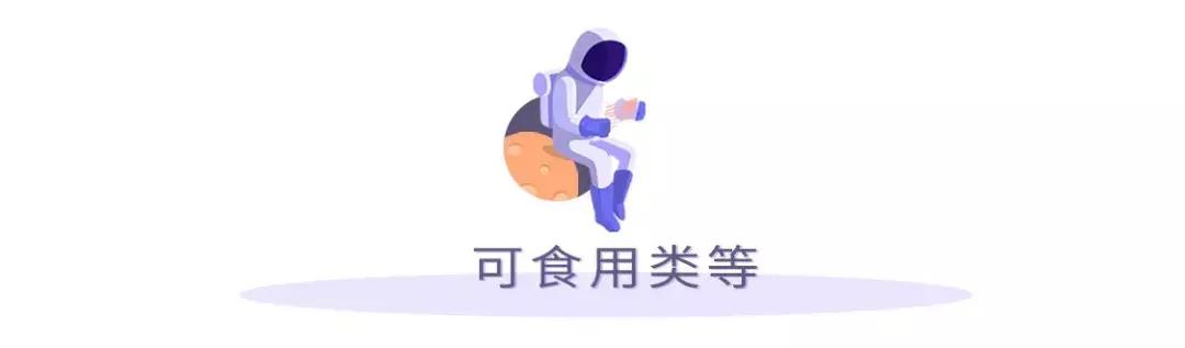 有哪些东西买了不后悔,有什么好用的商品只要十几块的