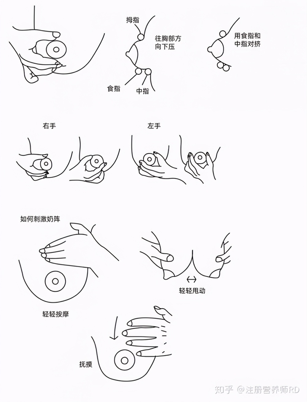 母乳喂养最好持续到孩子多大断奶,母乳喂养最适宜的断奶期