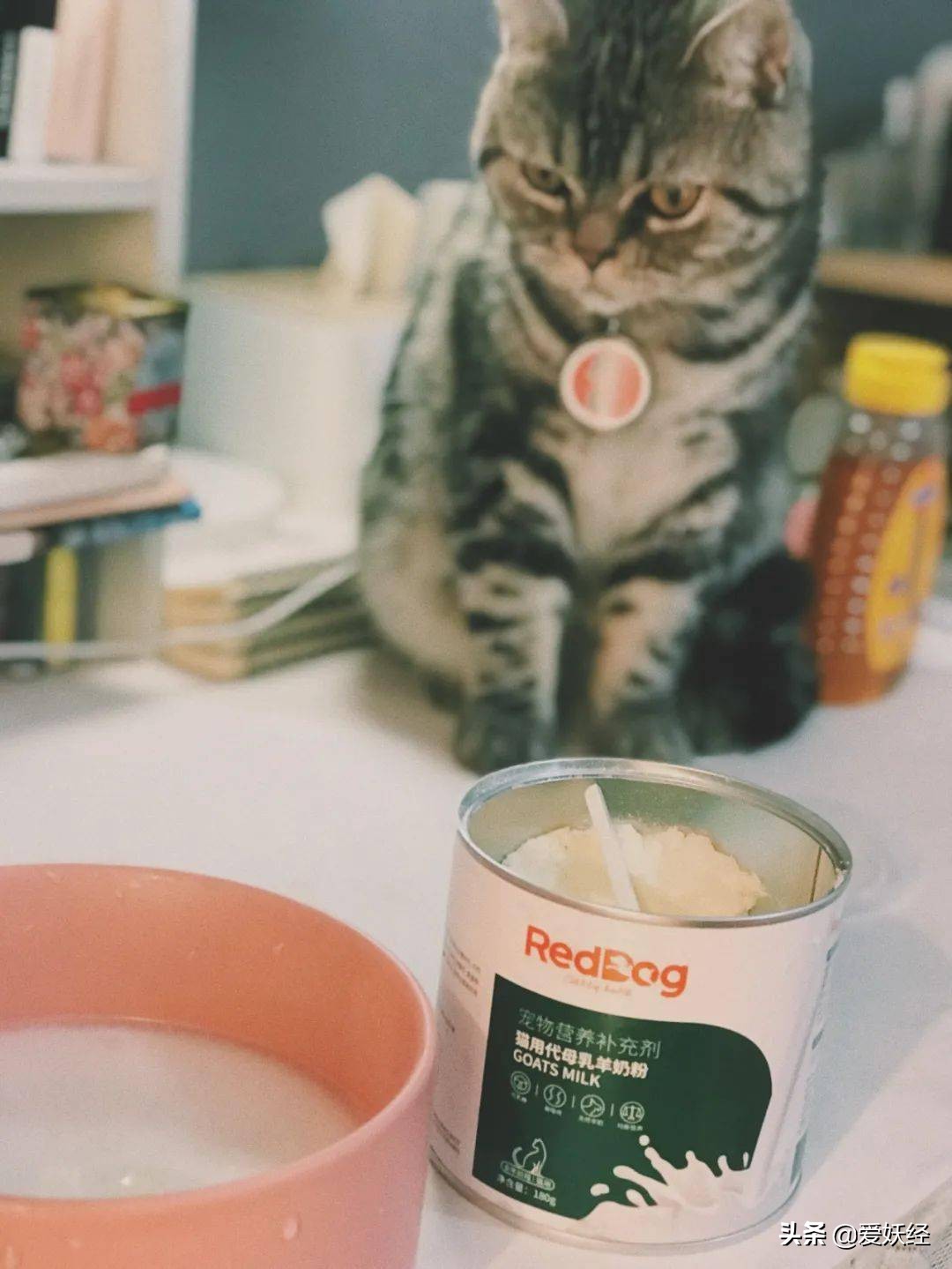 修正宠物羊奶粉测评,reddog红狗羊奶粉测评