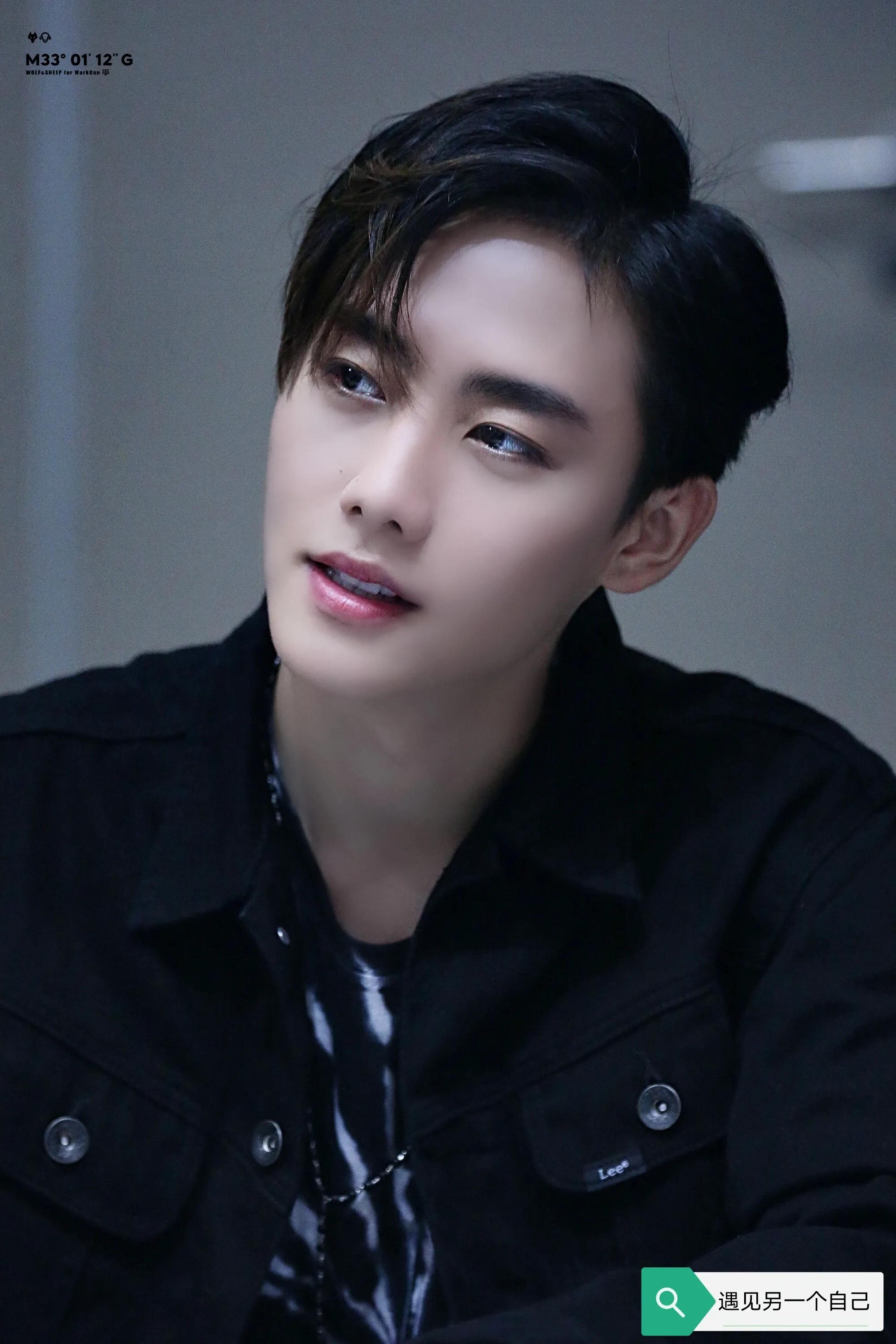 泰星陈瑞书个人资料,泰国明星评价陈瑞书